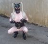 Nom du fichier=5_le_18_02_2018.JPG
Taille du fichier=359Ko
Dimensions : 1036x943
Ajouté le : 03 Novembre 2018 5_le_18_02_2018.JPG