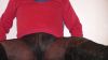 Nom du fichier=CAM_3762.JPG
Taille du fichier=118Ko
Dimensions : 1600x900
Ajouté le : 29 Décembre 2017 CAM_3762.JPG