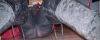 Nom du fichier=CAM_4770.JPG
Taille du fichier=151Ko
Dimensions : 1600x655
Ajouté le : 10 Janvier 2019 CAM_4770.JPG
