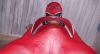 Nom du fichier=CAM_4781.JPG
Taille du fichier=142Ko
Dimensions : 1600x873
Ajouté le : 18 Janvier 2019 CAM_4781.JPG