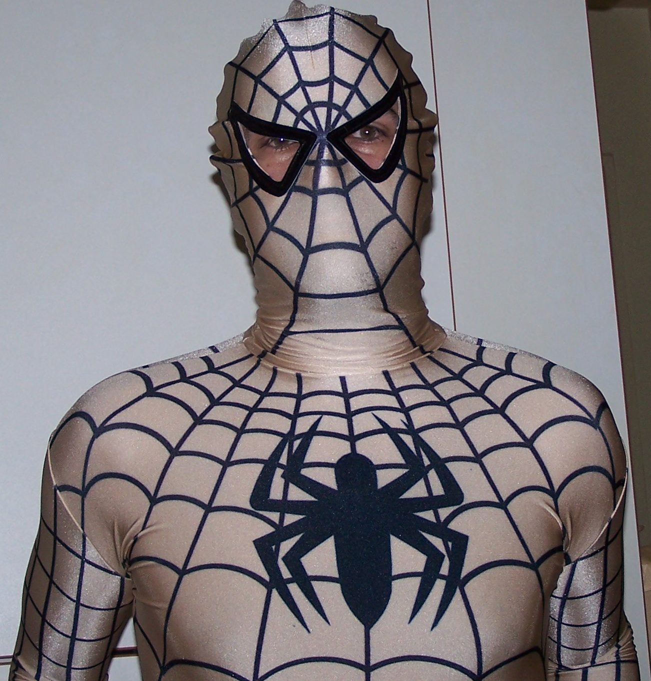 spiderman2
